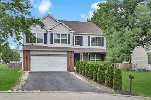 249 Gladiolus, Romeoville, IL 60446