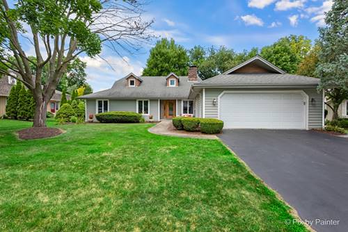 1131 Candlenut, Naperville, IL 60540
