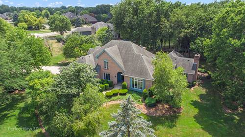 17201 S Caitlin, Plainfield, IL 60586