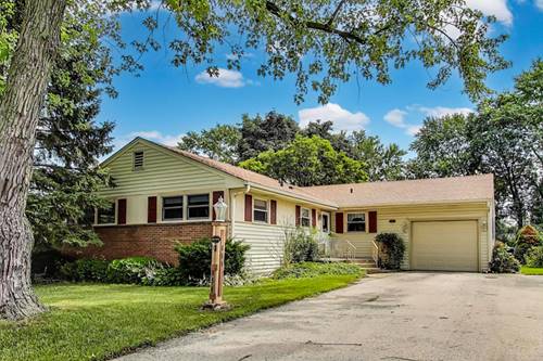 859 S Mount Prospect, Des Plaines, IL 60016