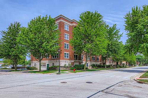 104 N Plum Grove Unit 203, Palatine, IL 60067