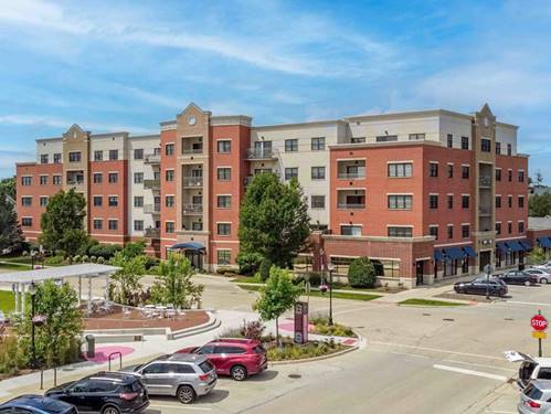 14 S Prospect Unit 211, Roselle, IL 60172