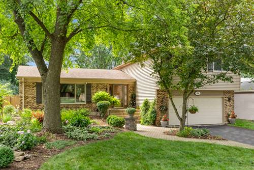 614 Bakewell, Naperville, IL 60565