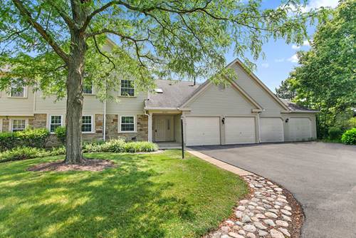 2403 Mallow Unit Z1, Schaumburg, IL 60194