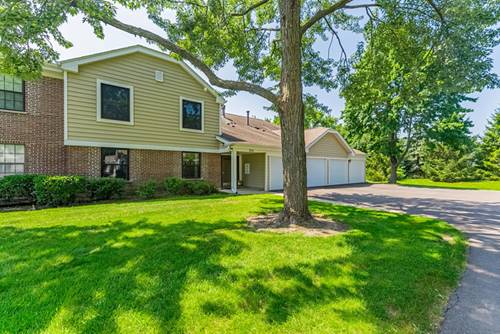 284 Pembridge Unit C1, Schaumburg, IL 60193
