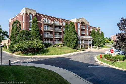 7091 W Touhy Unit 505, Niles, IL 60714