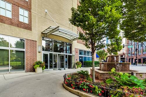645 N Kingsbury Unit 1107, Chicago, IL 60654
