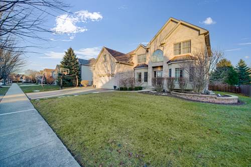 12929 Alpine, Plainfield, IL 60585