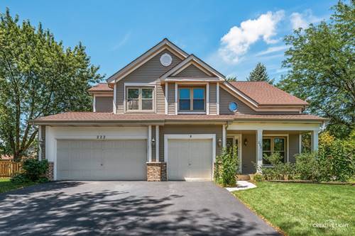 222 Mondovi, Oswego, IL 60543