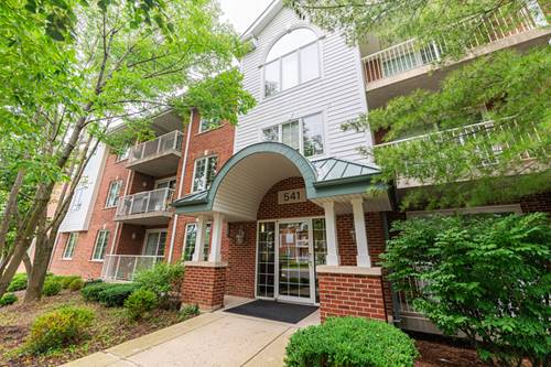 541 N Hough Unit 102, Barrington, IL 60010