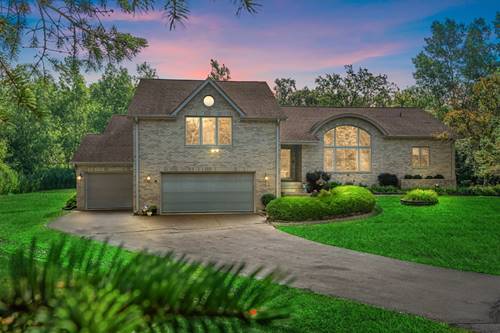 21211 Lisa, Steger, IL 60475