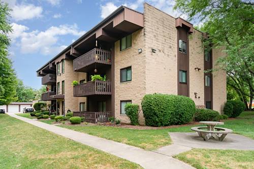 3119 Ingalls Unit 3B, Joliet, IL 60435