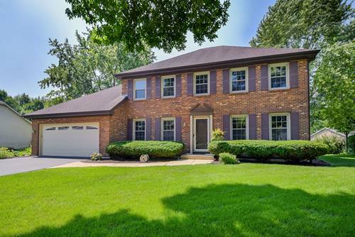 516 Cassin, Naperville, IL 60565