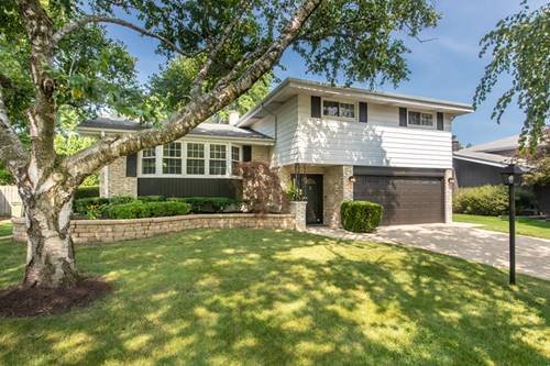 1008 N Newberry, Mount Prospect, IL 60056