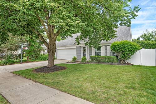 1743 Paddington, Naperville, IL 60563