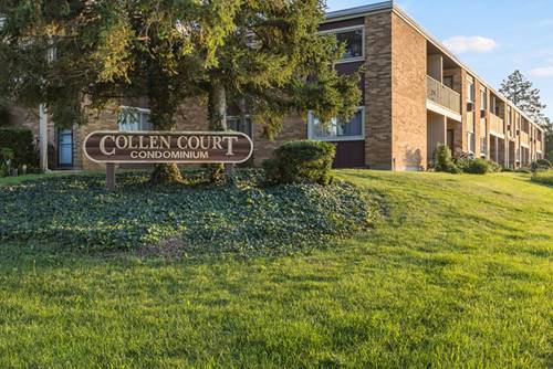 1313 S Rebecca Unit 113, Lombard, IL 60148