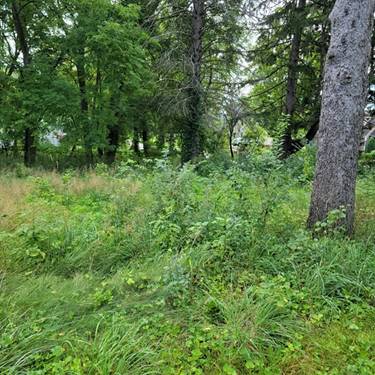 25570 W High, Wauconda, IL 60084