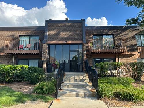117 Mullingar Unit 1C, Schaumburg, IL 60193