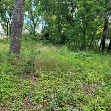 25578 W High, Wauconda, IL 60084