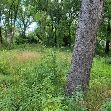 25586 W High, Wauconda, IL 60084