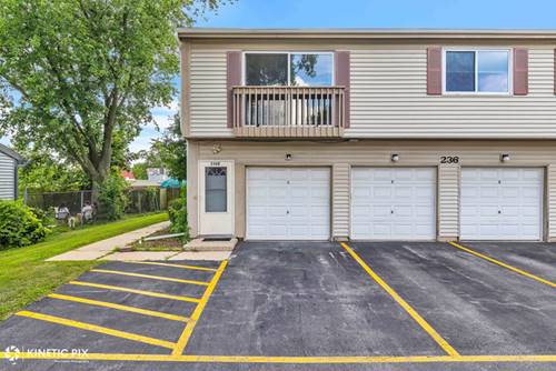 236 Algonquin Unit D, Bolingbrook, IL 60440