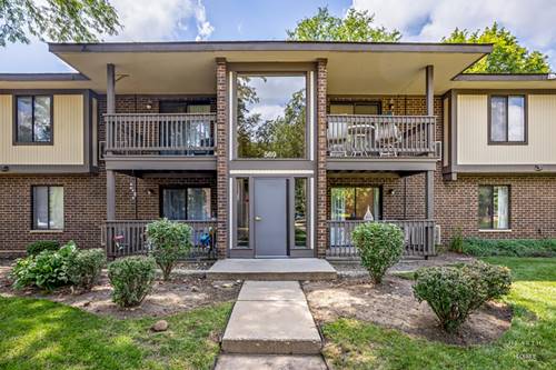 569 Somerset Unit 2, Crystal Lake, IL 60014