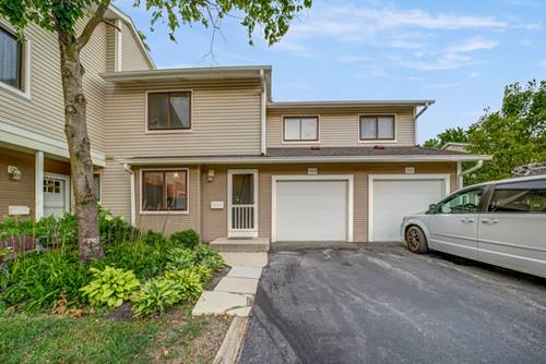 1113 E Randville, Palatine, IL 60074