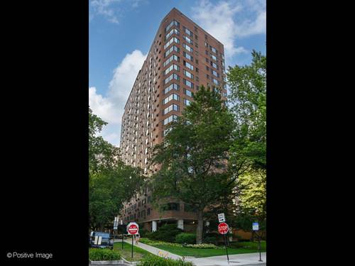3100 N Lake Shore Unit 208, Chicago, IL 60657