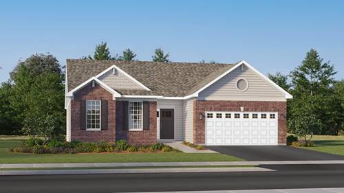 14913 S Dyer, Plainfield, IL 60544