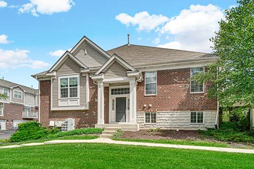 2528 Dunraven, Naperville, IL 60540