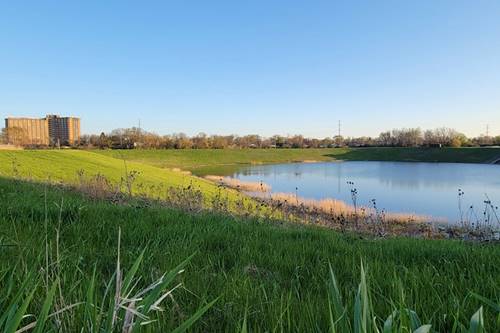 1 Renaissance Unit 1119, Palatine, IL 60067