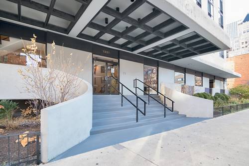 1221 N Dearborn Unit 801S, Chicago, IL 60610