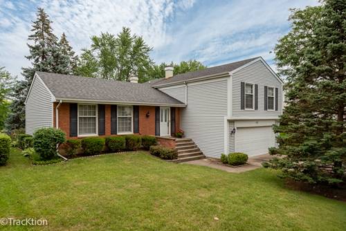 121 N Walnut, Schaumburg, IL 60194