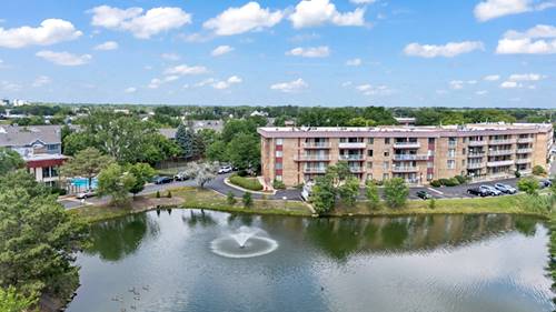 5450 Astor Unit 216, Rolling Meadows, IL 60008