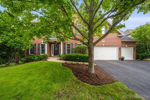 558 Cole, South Elgin, IL 60177