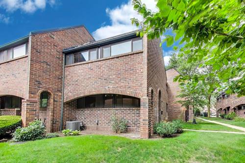 821 S Racine Unit D, Chicago, IL 60607
