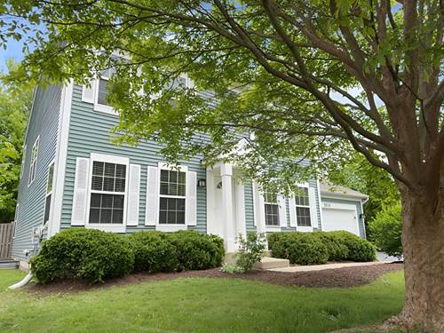 11536 Bethel, Huntley, IL 60142