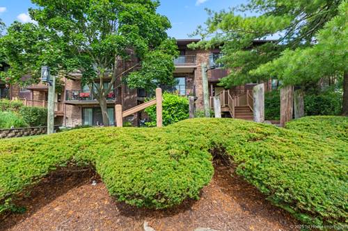 1313 Cass Unit 102, Westmont, IL 60559