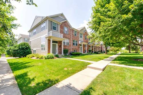 1077 Crane, Elgin, IL 60124
