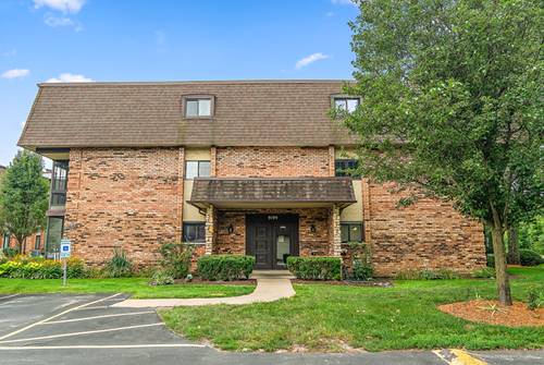 9199 North Unit B, Palos Hills, IL 60465