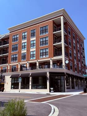 464 Glenwood Unit 304, Glen Ellyn, IL 60137
