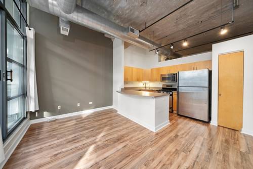 900 N Kingsbury Unit 861, Chicago, IL 60610