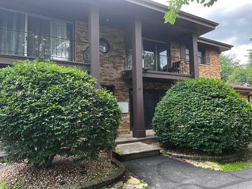516 Lincoln Unit 1N, Frankfort, IL 60423