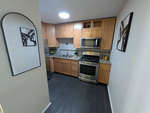 1400 E 55th Unit 509S, Chicago, IL 60637