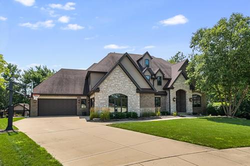12023 Ashbrook, Mokena, IL 60448