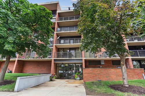 2941 S Michigan Unit 505, Chicago, IL 60616