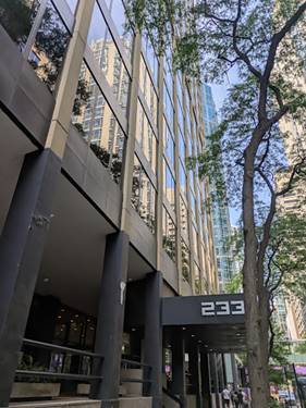 233 E Erie Unit 2003, Chicago, IL 60611