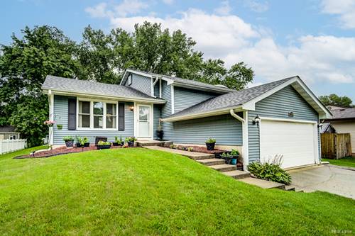 13734 W Birchwood, Homer Glen, IL 60491
