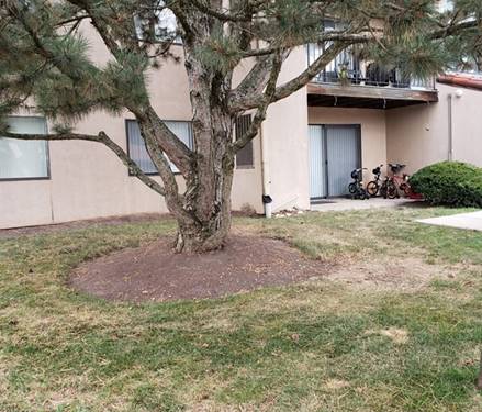 21W581 N North Unit 73, Lombard, IL 60148