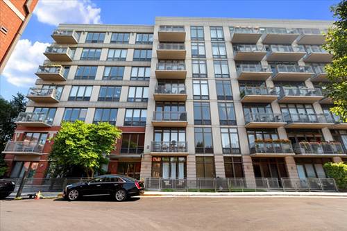 1000 N Kingsbury Unit 209, Chicago, IL 60610